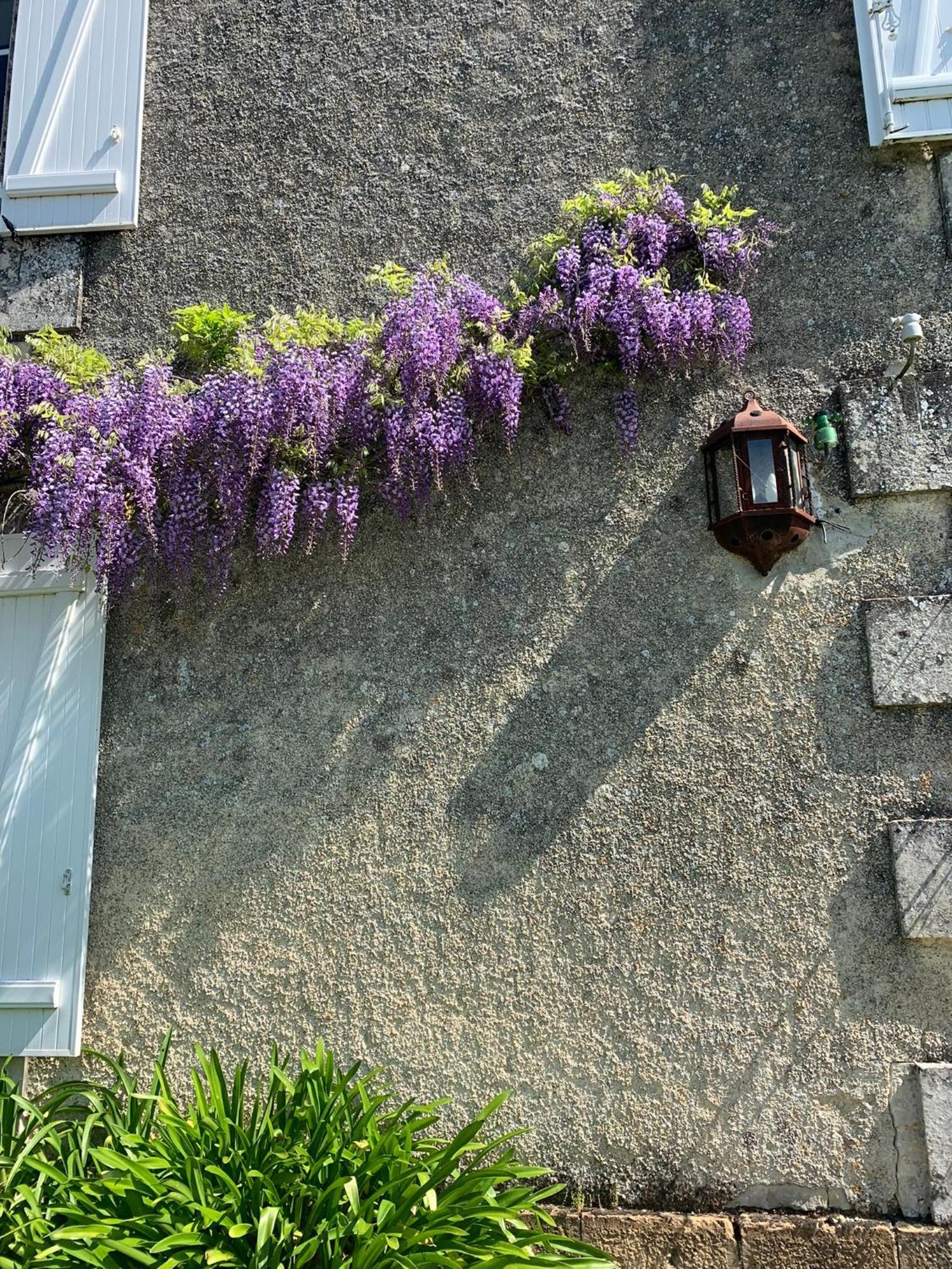 No5 Chambre D'Hotes Courcome Luaran gambar